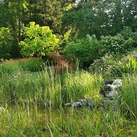 Le Jardin Du Petit Gonio Felleries