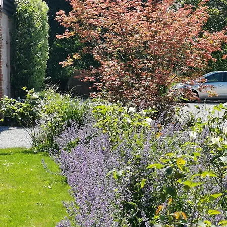 Le Jardin Du Petit Gonio * Felleries