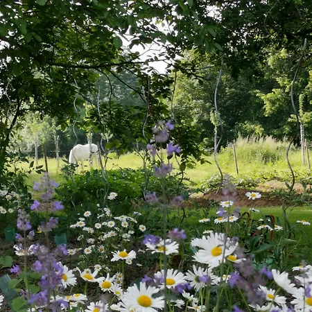 Le Jardin Du Petit Gonio Felleries